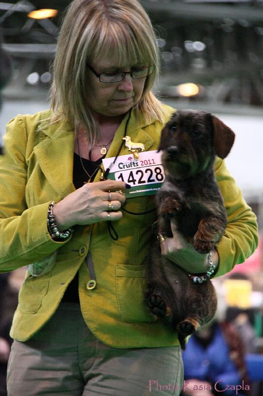 Crufts2011_2 1634.jpg